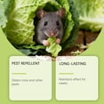 thumbnail image 4 of A box of 10 packs Mice Repellent Peppermint Oil Insect & Pest Repellent, 4 of 8