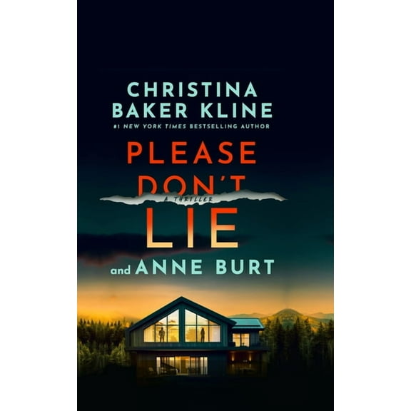 Crystal River Please Don't Lie: A Thriller, Book 1, (Hardcover)