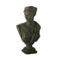 thumbnail image 1 of Monstrate Diana Head Statue Bust Resin Greek Decor Sculpture Art Mythology  Nordic Decoración del hogar Bronce, 1 of 1