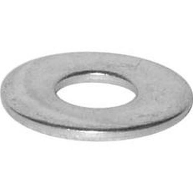 Les Attaches Reliable 4835211 0.31 Po Rondelle Plate en Acier Inoxydable&44; 100 par Pack