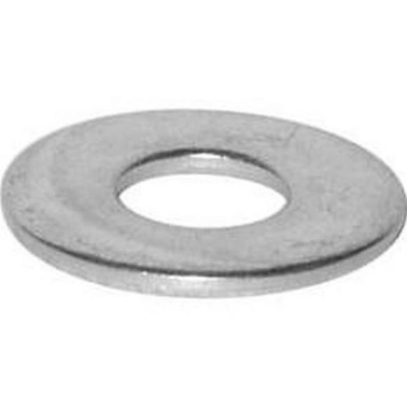 Les Attaches Reliable 4835211 0.31 in. Stainless Steel Flat Washer, 100 per Pack
