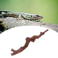thumbnail image 1 of Runquan Reptile Climbing Branch Lifelike Tank Accessories for Frog Turtle Snake 24.7x5x5cm, 1 of 8
