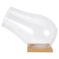 thumbnail image 3 of 1 Set Clear Glass Terrarium Bowl For Succulent Plants Decorative Centerpiece For Home And Weddings Transparent Plant Container Bottle Planter, 3 of 9