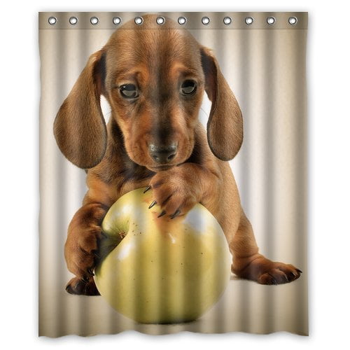 GreenDecor Dachshund Puppy Waterproof Shower Curtain Set with Hooks