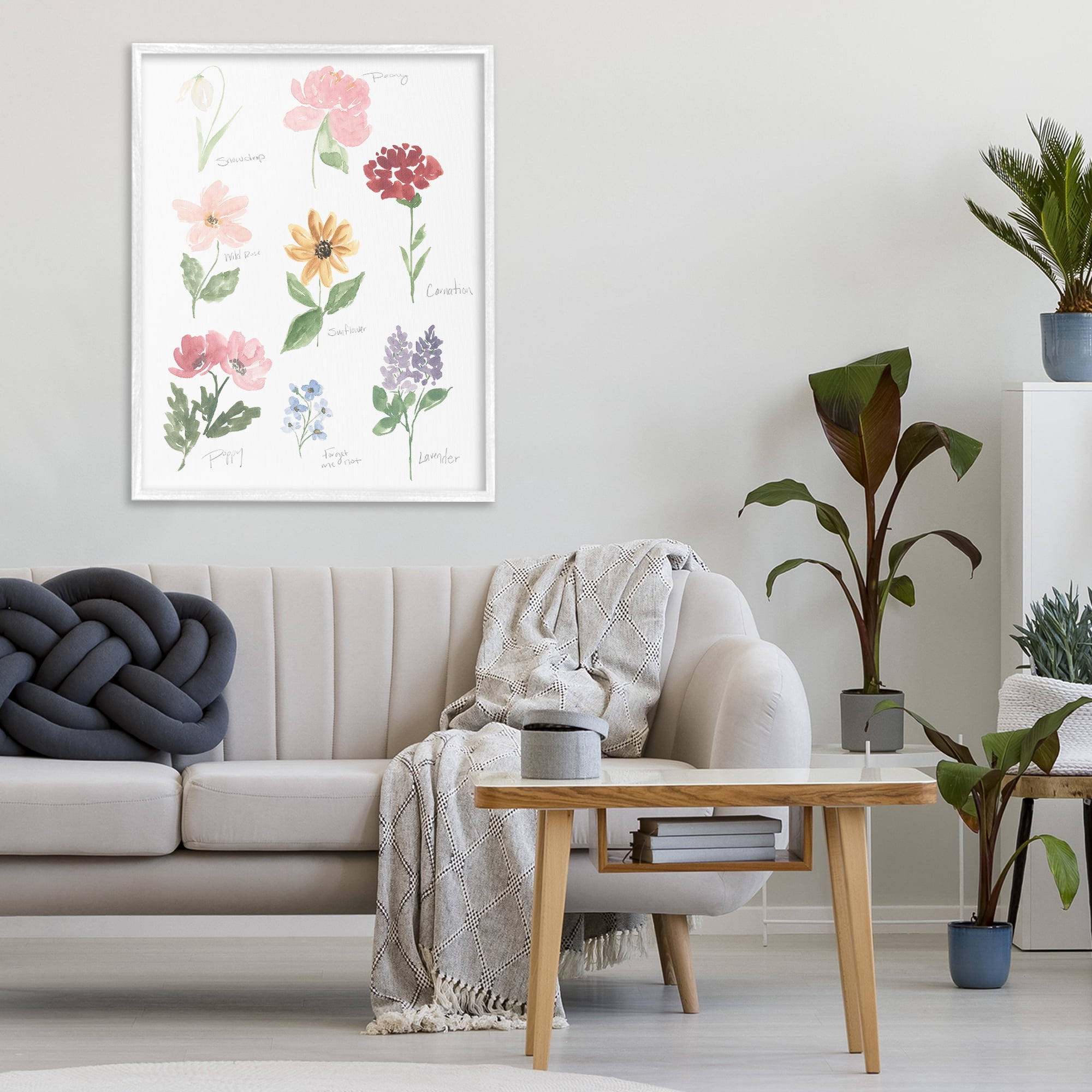 Stupell Industries Labeled Flower Varieties White Framed Giclee Art, design by Lucille Price