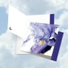 JQ4949DTTG Jumbo Teacher Thank You Card: 'Iridescent Iris' with Envelope (Large Size: 8.5+ x 11+)