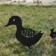 thumbnail image 4 of Yard Art - Figuras decorativas de metal para jardín, diseño de animales, patio, art déco, jardín (4 piezas, negro, pato), 4 of 5