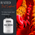 thumbnail image 6 of Research Labs 2 Fer 1 Ad Organic Irish Sea Moss Capsules for Thyroid Support, Raw Wildcrafted Seamoss Enhanced w/ Bladderwrack & Burdock Root 240 Total Pills, 6 of 9