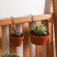 thumbnail image 1 of 6 Piezas de Colgadores para Macetas de Terracota, para Colgar Macetas, Colgadores de Plantas, Colgadores de Pared de Metal para Plantas de JardíN, Rosa, 1 of 10