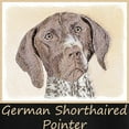 thumbnail image 3 of CafePress - German Shorthaired Pointer Women's Dark Pajamas - Women's Short Sleeve Print T-Shirt and Pants Dark Cotton Pajama Set, 3 of 7
