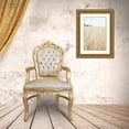 thumbnail image 3 of Urquhart, Elizabeth 11x14 Gold Ornate Wood Framed with Double Matting Museum Art Print Titled - On the Edge III, 3 of 4