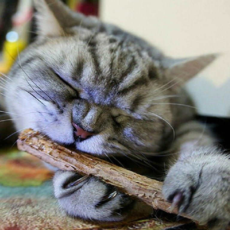 Catnip lollipop with matatabi stick hot sale