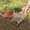Pink, variant on YIMWNYI Portable Garden Sieve with Stainless Steel Handle, Gardening Tool, Compost Sifter, Garden Planting Tool, Durable Steel Shovel for Sand Sifting and Composting, Ergonomic Non-Slip Grip
