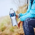 thumbnail image 6 of (5) Pure Life Purified Water, 16.9 fl. oz. Clean Crisp Bottled Premium Drinking Water Thirst Quencher Instant Pure Hydration Home Party Gym Pantry Picnic Travel Food Supplies, 6 of 8