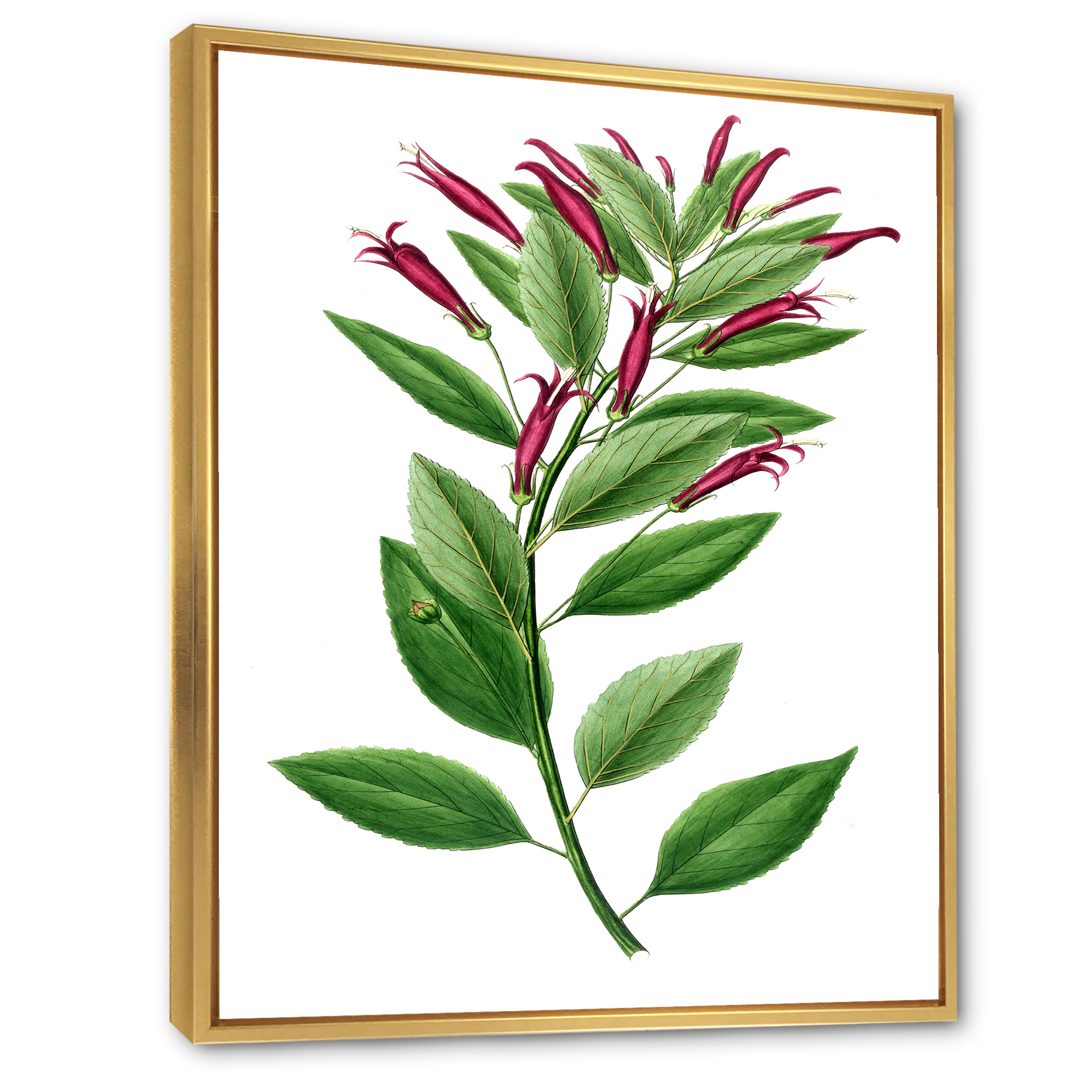 Ancient American Flora V 16 in x 32 in Framed Painting Canvas Art Print, by Designart