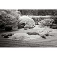 thumbnail image 3 of Johnson, George 14x11 Black Modern Framed Museum Art Print Titled - San Francisco Garden II, 3 of 5