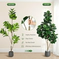 thumbnail image 5 of 6FT Fiddle Leaf Fig Tree Artificial, Realistic Faux Ficus Lyrata Trees with 141 Leaves, Indoor Fake Floor Plants for Home Office Living Room Decor, with 9" Gray Planter Pot, 5 of 8