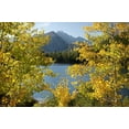 thumbnail image 2 of Bush, Marie 24x17 Black Ornate Wood Framed with Double Matting Museum Art Print Titled - CO, Rocky Mts Bear Lake and Longs Peak, autumn, 2 of 4