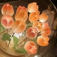 thumbnail image 2 of Tulip Night Light Tulip Lamp Handmade Tulip Night Light DIY Tulip Night Light Furniture Decoration Simulation Flower Bedroom Table Lamp, 2 of 7