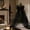 Black, variant on Bwiyojiz Pearlescent Bow Large Double Layer Polyester for Tree Topper Display