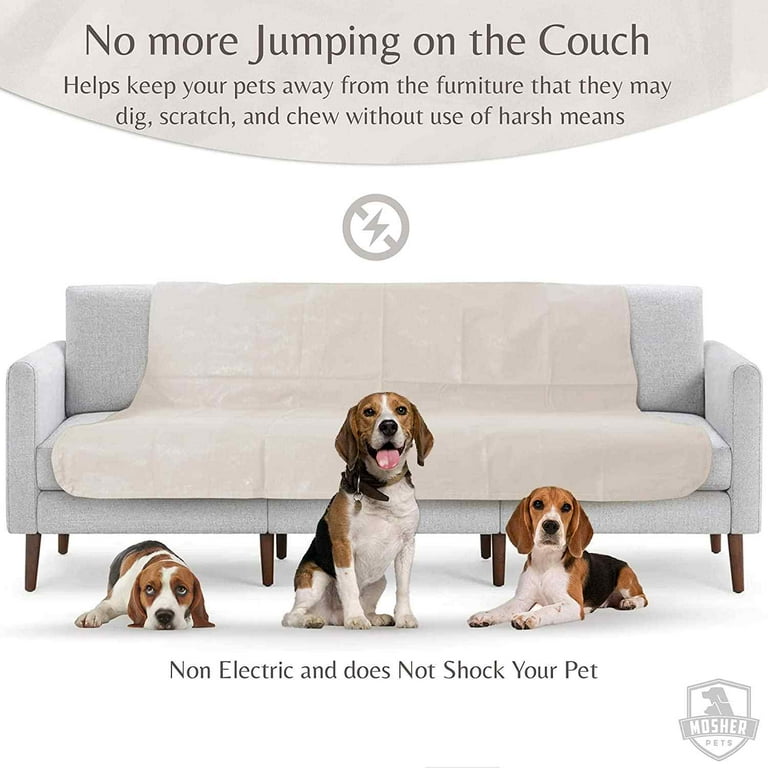 Keep dog off couch clearance mat