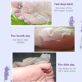 thumbnail image 2 of Mascarillas Lavanda para Pies Parche Nutritivo Exfoliante para Piel Muerta Y Talones 2 Uds., 2 of 6