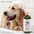 thumbnail image 6 of Rae Dunn Anti Itch Formula Pet Shampoo with Aloe Coconut Oil Oatmeal Honey 800ml, 6 of 9