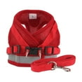 thumbnail image 4 of LAVA No Pull Dog Harness and Leash Set, No Choke Breathable Mesh Dog Vest Lightweight Adjustable for Small Medium Dogs - Easy to Put On and Take Off, 4 of 6