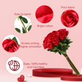 thumbnail image 3 of 24 Pcs Artificial Roses Flowers Realistic Silk Rose Long Stem White Flowers White Roses Fake Red Silk Rose Bouquet Artificial Wedding Bouquet for Home Decor Centerpiece Party (Red), 3 of 5