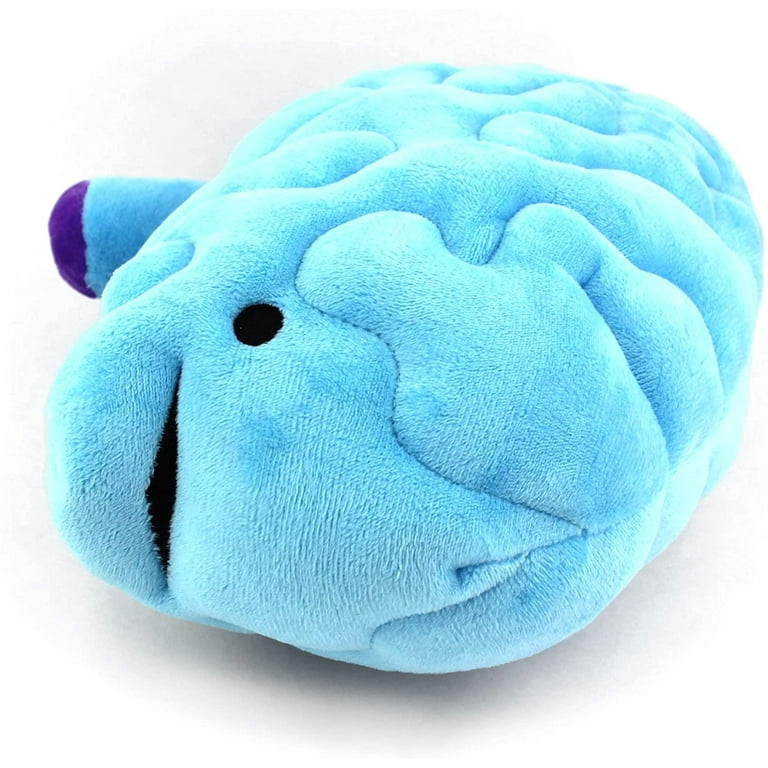 Brain plush cheap toy