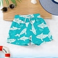 thumbnail image 4 of NAISIBABY Boys Beach Shorts with Pockets (4-15T), Drawstring Quick Dry Performance Kids Swim Trunks Board Shorts Size 6, 4 of 8