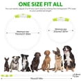 thumbnail image 4 of Collar LED para perro HIGO Light Up USB recargable, verde, 4 of 7