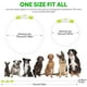 thumbnail image 4 of Collar LED para perro HIGO Light Up USB recargable, verde, 4 of 7