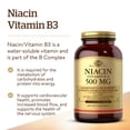 thumbnail image 3 of Suplemento Solgar de niacina (vitamina B3), 500 mg, 250 g de grasa vegetal, 3 of 5