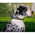 thumbnail image 2 of Country Brook Petz - 3/4 inch Tie Dye Stripes Dog Leash - 6 Foot, 2 of 5