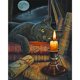 thumbnail image 1 of Diamond Painting (DE6781) 5D DIY cat Square Picture 30x40cm Negro FLhrweasw Nuevo, 1 of 1