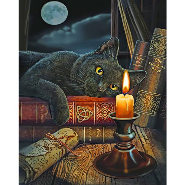 Diamond Painting (DE6781) 5D DIY cat Square Picture 30x40cm Negro FLhrweasw Nuevo