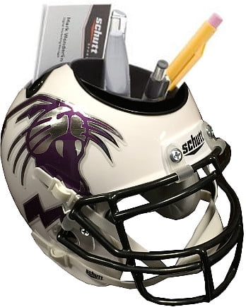 Schutt NCAA Oregon Ducks Football Helmet Desk Caddy
