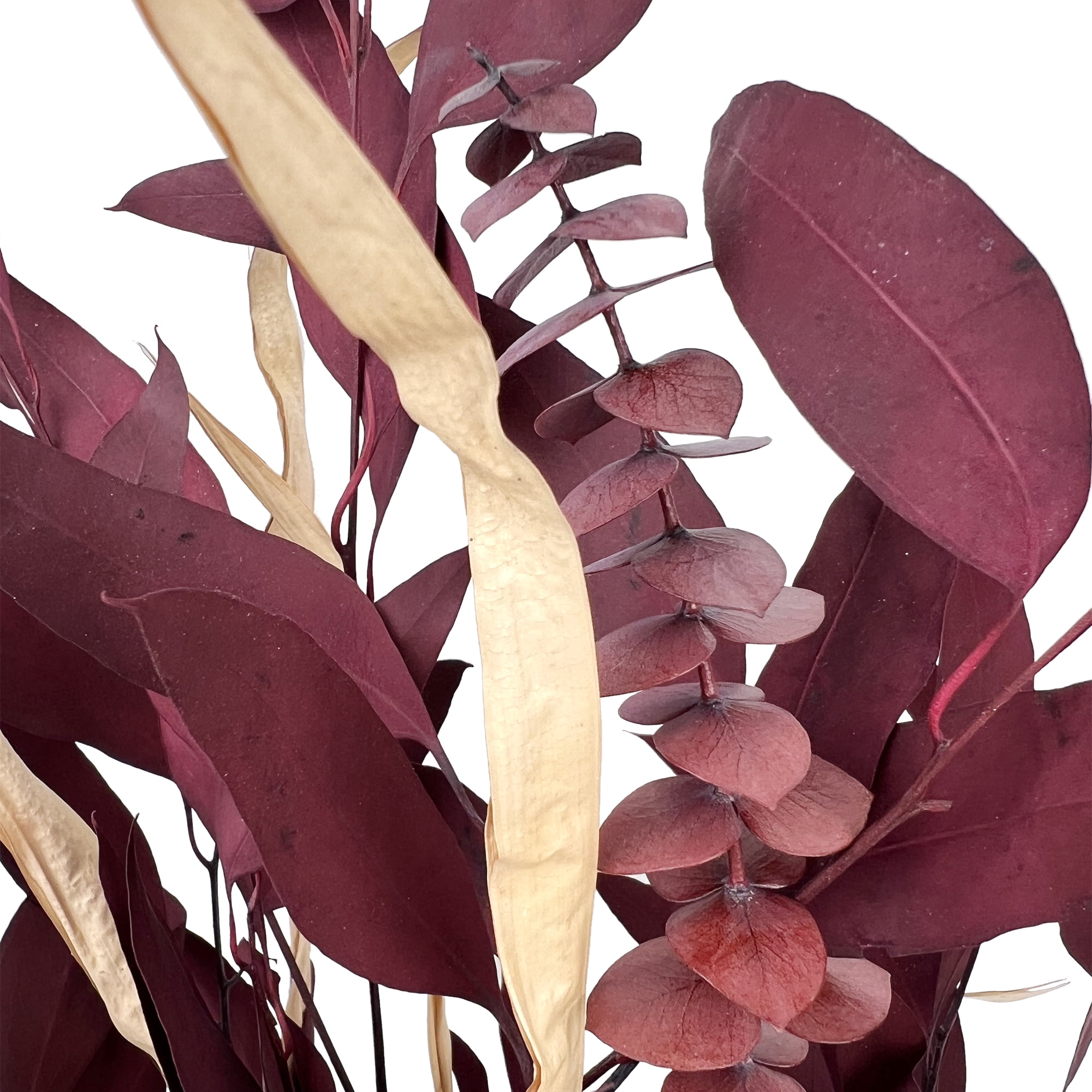 (2 pack) Dried Eucalyptus Mix Red Bouquet