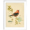 thumbnail image 2 of Art.com Gilded Songbird 3 Art Print by Chad Barrett, White Frame Wall Art, 23" x 29", 2 of 5