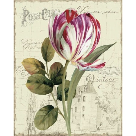 - Garden View II - Tulip Poster Print by Lisa Audit