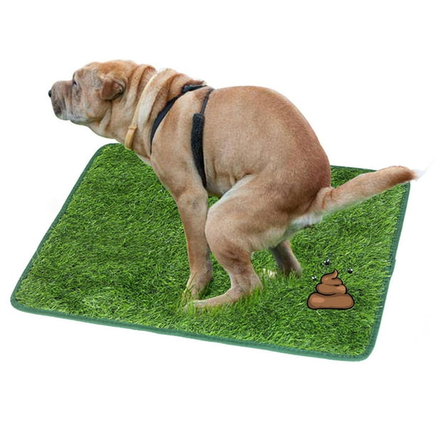 Artificial Grass Dog Pee Pad Dog Potty Training Rug Reusable Artificial Grass Dog Pee Mat Pet Pee Rug
