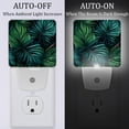 thumbnail image 2 of Tropical jungle palm fronds LED Square Night Light - Modern and Stylish Plug-in Lamp for Bedside or Hallway - Energy Efficient and Soft Glow Indoor Lighting, 2 of 6