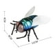 thumbnail image 3 of Telemando Por Infrarrojos Hugo RC Fly Insects Bug Toy Juguetes de Broma, 3 of 10