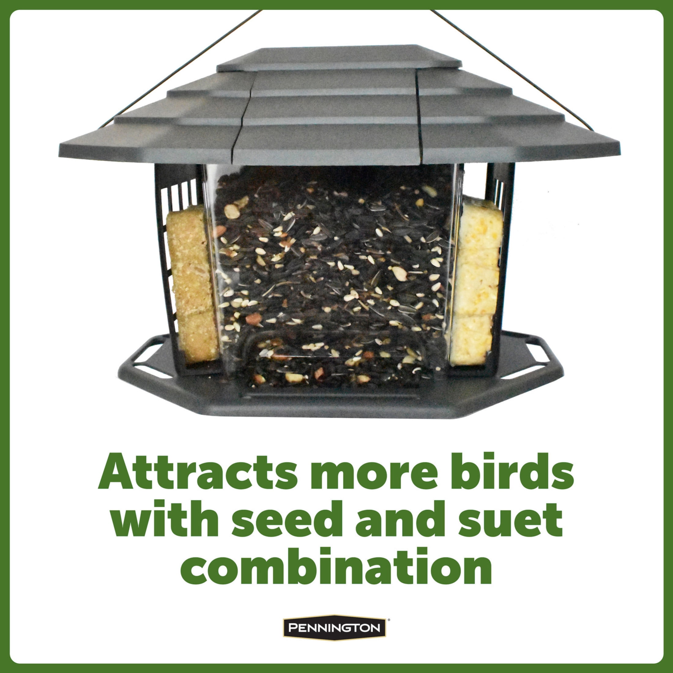 Pennington Earth Smart Ecobistro 5lb Capacity Wild Bird Feeder and Feed Starter Kit 1 Each