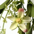 thumbnail image 4 of 60" Tulip Flowers Garland, 4 of 5