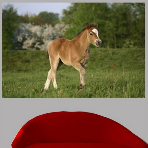 Wallhogs Pony Glossy Wall Mural