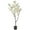 White, variant on Nearly Natural 4' Cherry Blossom Artificial Tree