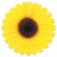 thumbnail image 1 of Abanico de girasol Beistle, 1 of 1