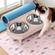 thumbnail image 4 of Comedero Doble Para Gatos Comedero Con Inclinación Para Agua Y Comida Comedero Integrado De Acero Inoxidable Para Gatos Y Comedero Para Agua Y Comida, 4 of 5